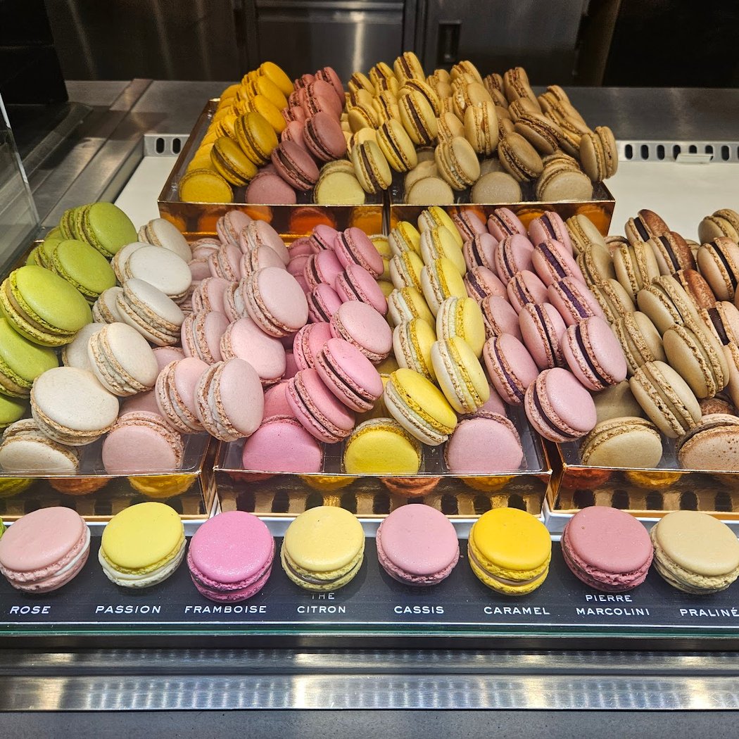 PIERRE MARCOLINI Galeries Lafayette Champs Elysées 1